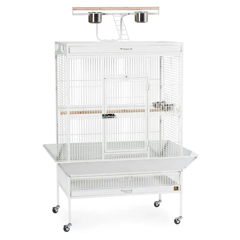 Wrought Iron Select Bird Cage 3154C, Chalk White, 36-Inch by 24-Inch by 66-Inch