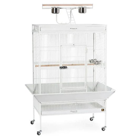 Wrought Iron Select Bird Cage 3154C, Chalk White, 36-Inch by 24-Inch by 66-Inch