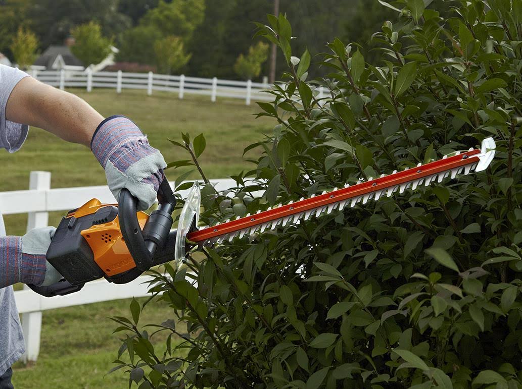 24x22 56V Cordless Hedge Trimmer Wg291